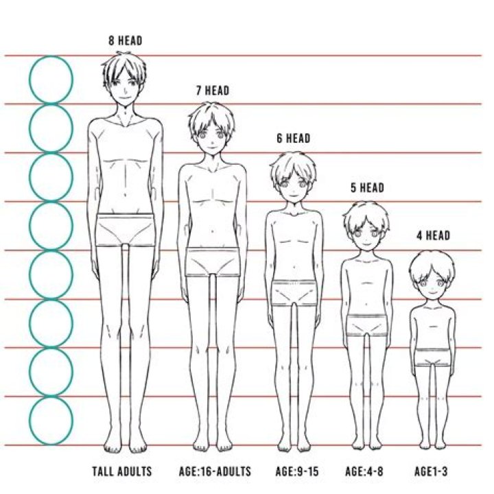 Age And Height Revealed Uncover Surprising Truths