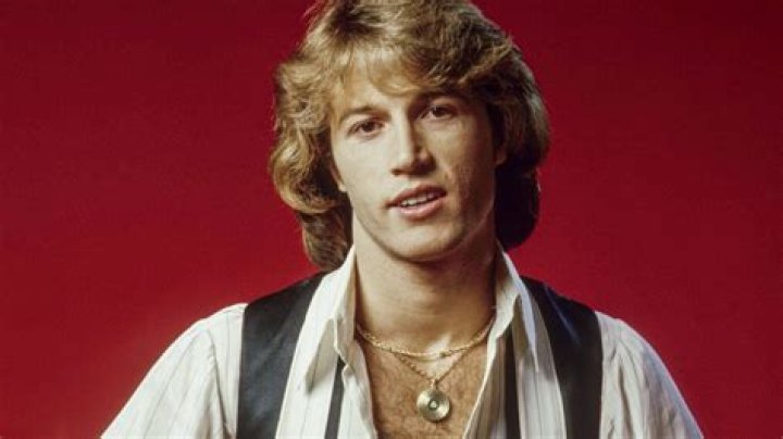 Andy Gibb Net Worth: A Comprehensive Insight into the Life and Wealth of a Musical Icon