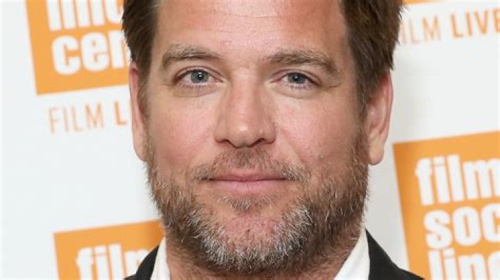 How Much is Michael Weatherly Worth? Exploring the Wealth of the NCIS Star