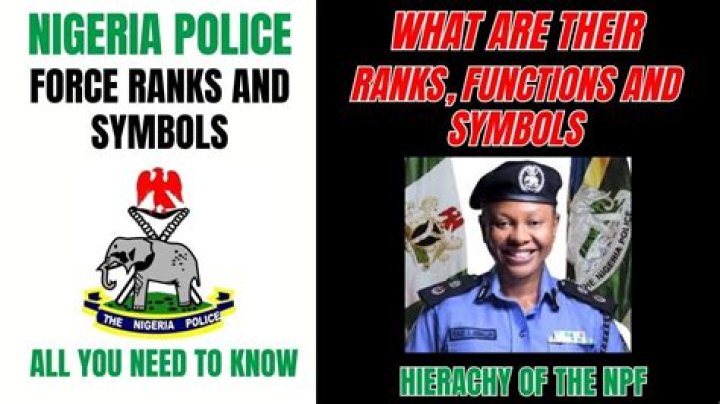 Nigerian Police Ranks: Understanding the Hierarchy and Functions