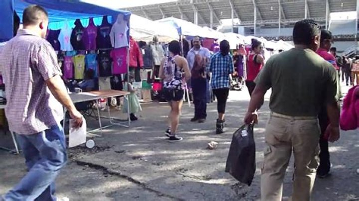 Shorty Camp Rock: A Comprehensive Guide to the Beloved Musical Franchise