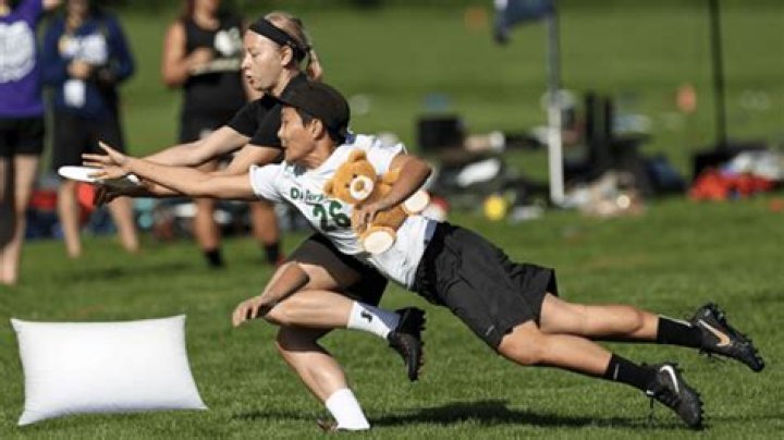 Understanding Melimtx: A Comprehensive Guide to Its Benefits and Uses